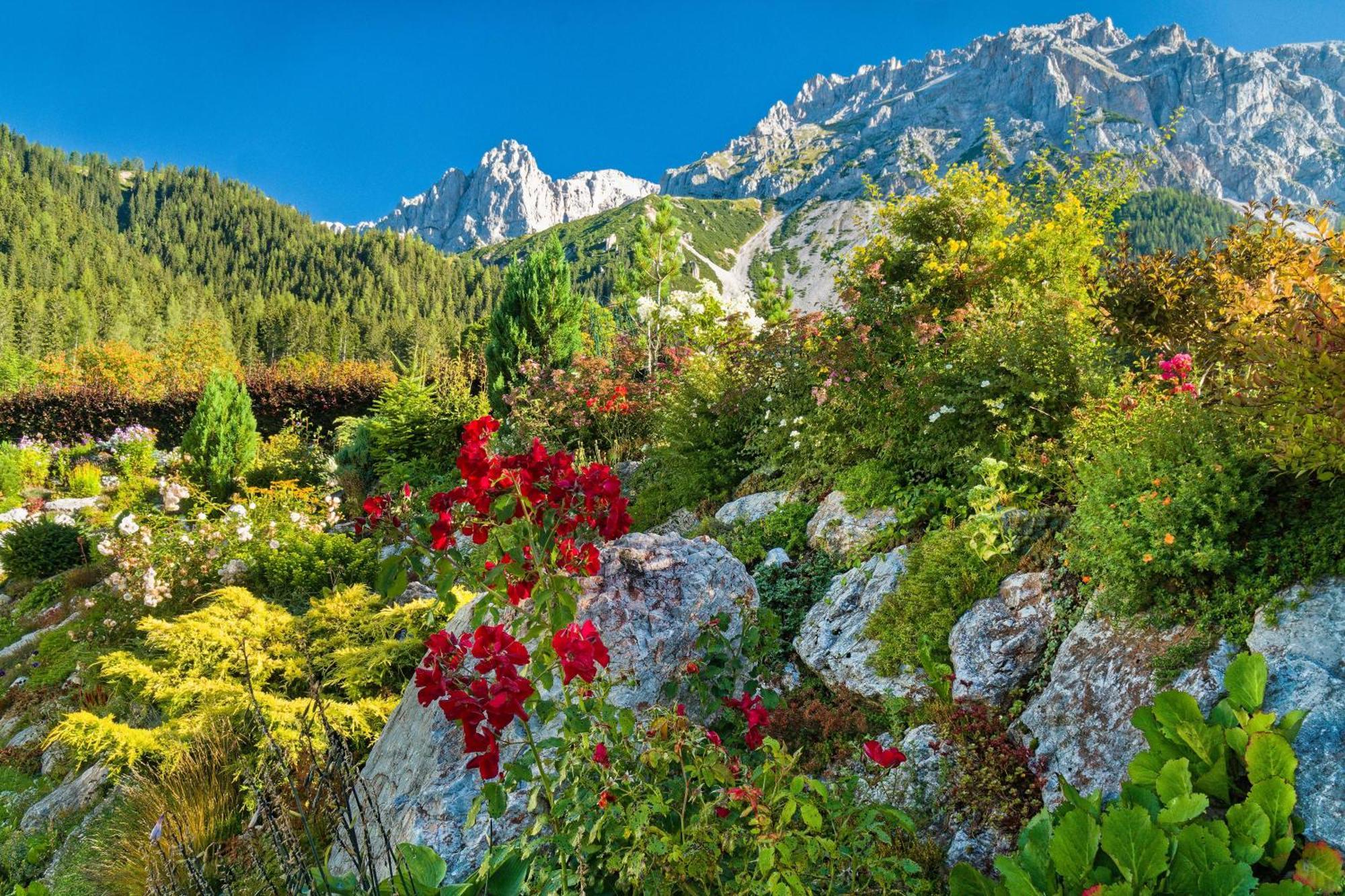 Pension Stoffenbauer Ramsau am Dachstein Exterior photo